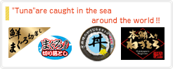 "Tuna"are caught in the sea around the worldI